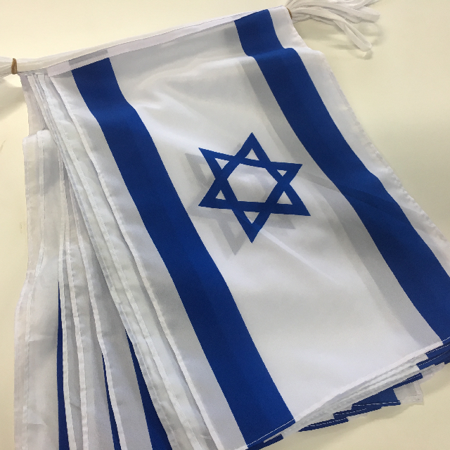 BUNTING, Israeli Flag - 10m Length Polyester (20 Flags 45 x 30cm)